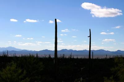 Roskruge Range