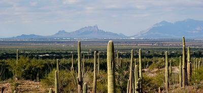  Pinal Airpark & Picacho Peak
