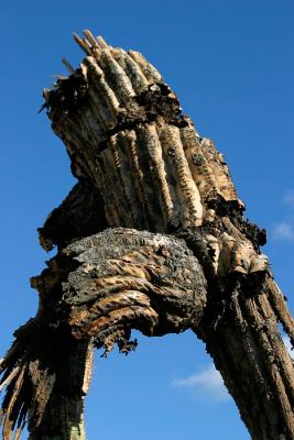 Decay