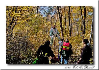 u49/edmondm/medium/35666026.DSC_5324Web.jpg