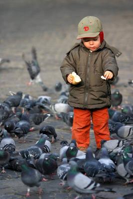 With pigeons