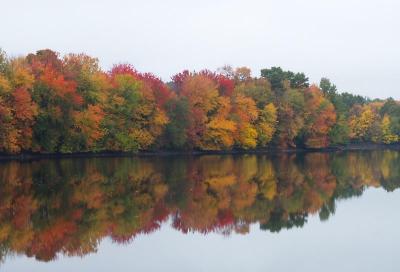 u49/ellen_morgan/medium/36023999.CambReservoirFall2.jpg