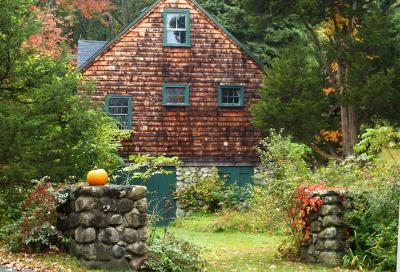 u49/ellen_morgan/medium/36332467.HouseWithPumpkin.jpg