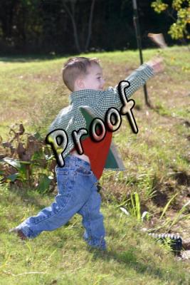 5564_p.jpg