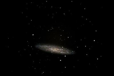 u49/emagowan/medium/36171210.NGC253_2.jpg