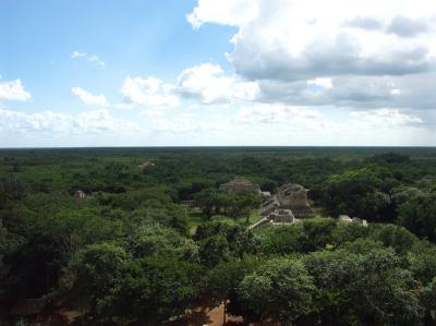 From top of pyramid vast jungle is visible