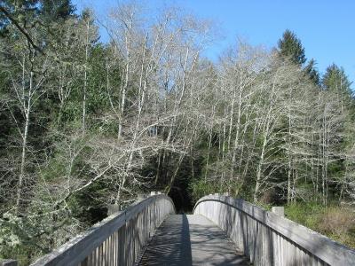 Trail Bridge at Ozette