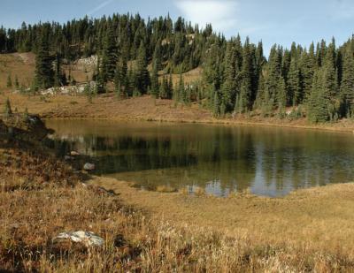 Little Tarn