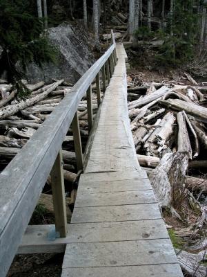 Log Bridge over Serene Outlet