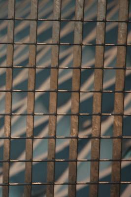 Grid and Mesh
