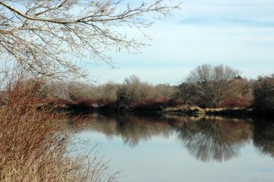 Yakima River Reflection