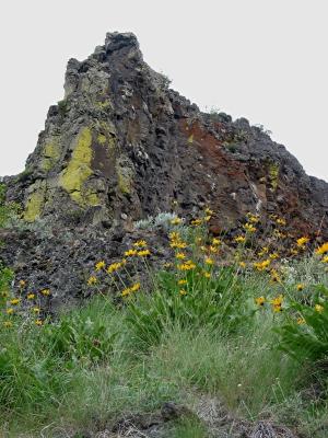 Outcropping and Flowers