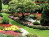 Floral Gardens