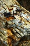 Petrified Log End