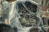 Sun Face Petroglyph