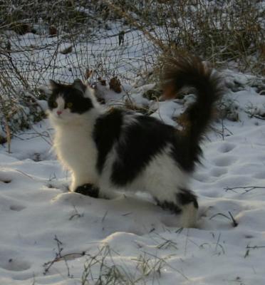 Wintertime again!
