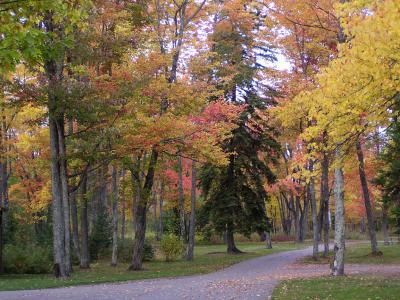 Baraga State Park