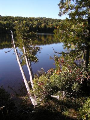 Fannie Hooe Lake