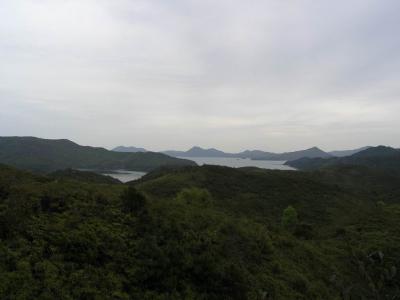 P3130050.JPG