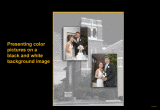 bw-background.gif