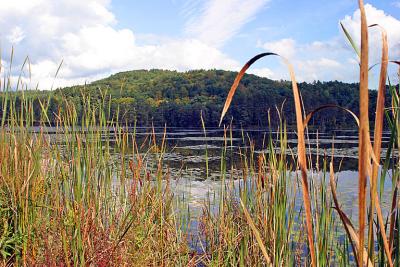 u49/fischerfoto/medium/35835277.deweys_pond_edge_quechee_vt_2003_IMG_0800.jpg