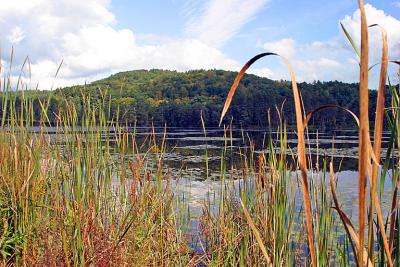 deweys_pond_edge_quechee_vt_2003_IMG_0800.jpg