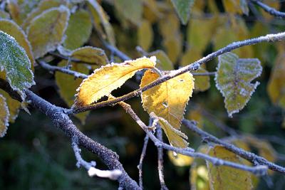 more_sunlight_mt_greylock_ma_2003_IMG_1031.jpg