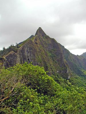 u49/fischerfoto/medium/36198641.oahu_nuuanu_pali_cliffs_2003_P1010007.jpg