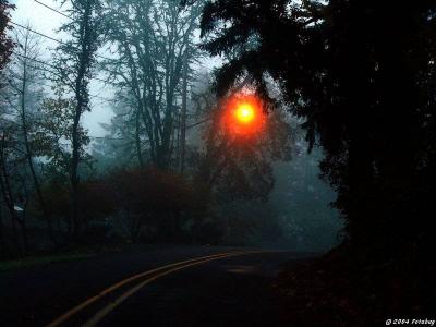 Street light in the fog