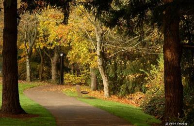 Fall in Skinner Butte Park