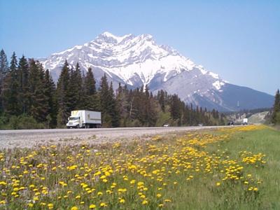 Early Summer in the Rockies