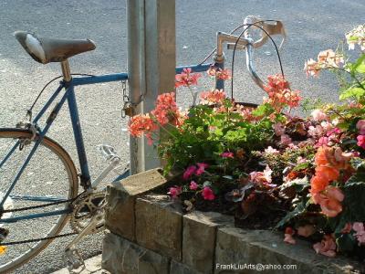 Bike & Flowers