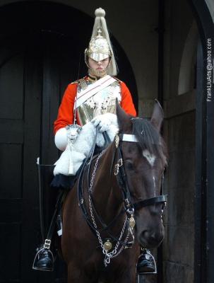 Mounted Guard