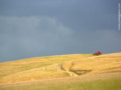 White Horse Hill after a Rain