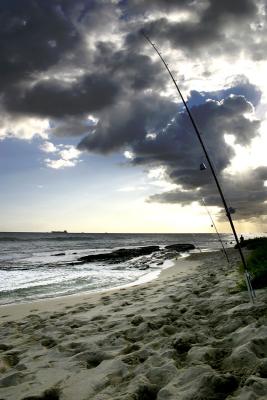 u49/freddybees/medium/35675911.poles.jpg
