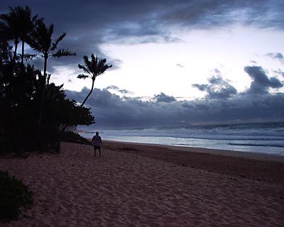 u49/freddybees/medium/35677406.darkbeach1.jpg