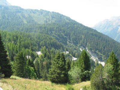 IMG_1864.JPG
