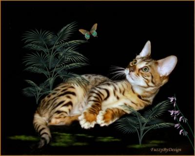 dsc03978 Bengal and Butterfly IV          art conversion