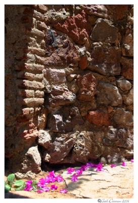 Zacatecas: wall
