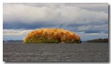 Rice Lake in the Fall