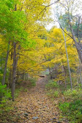 Taughannock Falls State Park, NY - 10/2004