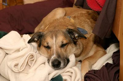 IMG_3789.jpg