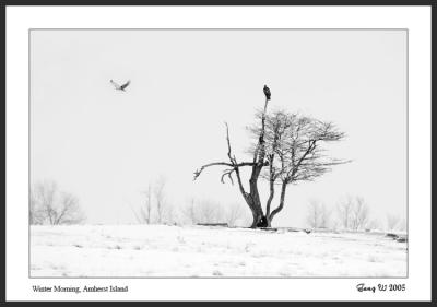 364_6427_1bw_650f.jpg