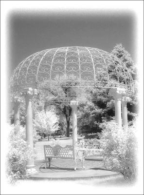 Rose Gazebo