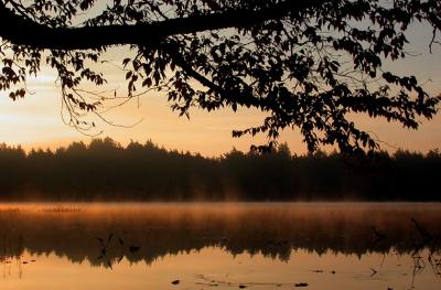 u49/gbk/medium/36043043.polli_sunrise21000_Image03_p.jpg