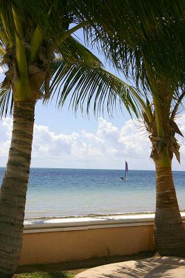 u49/gcpowell/medium/34944926.TheCaribean.jpg