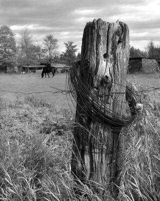 Fencepost