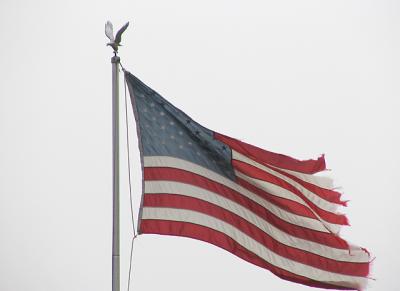 Tattered Glory