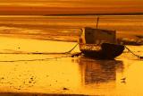 Golden sun on the Burry Estuary