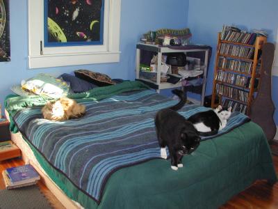 cats on the bed Spike, Dashigara, Mallet